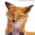 ��� fox