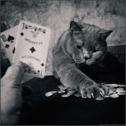 PokerMoscow в декабре. PokerMoscow в декабре.