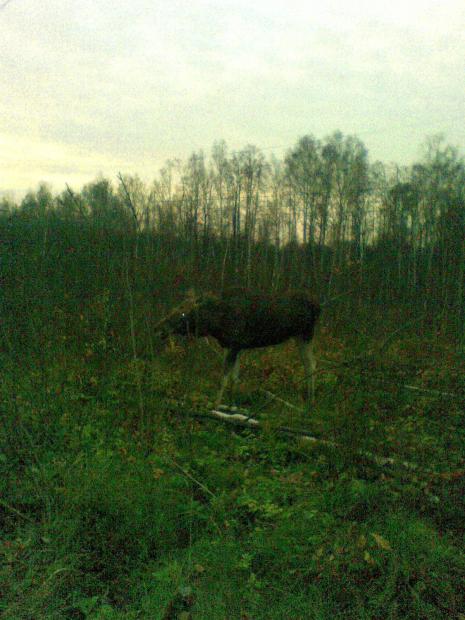 205.jpg 205.jpg