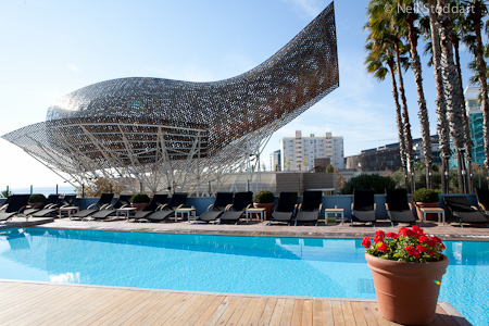 casino_gehry_fish_ept9bar_d1a-thumb-450x300-170000.jpg