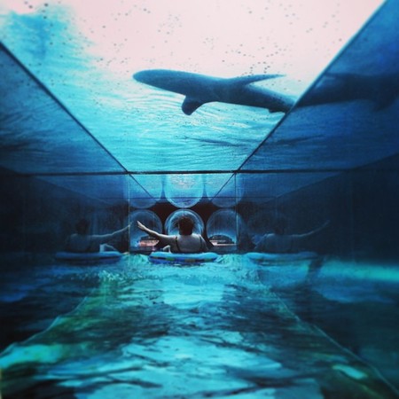 instagram_competition_winner_5-thumb-450x450-180794.jpg