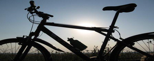 velo.jpg