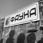 PokerMoscow � ���.�������� �� ����