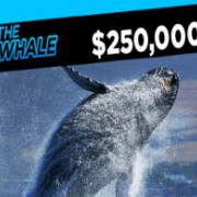 888poker объявляет охоту на «китов»