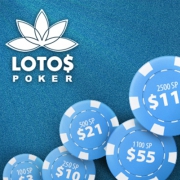 Ещё 12 пакетов на UPS Sinai в Египте от LotosPoker! Ещё 12 пакетов на UPS Sinai в Египте от LotosPoker!