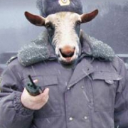 Полицейские в Балашихе закрыли казино, расположенное в особняке по ул. Полевая Полицейские в Балашихе закрыли казино, расположенное в особняке по ул. Полевая