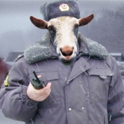 В Самаре в здании министерства образования нашли подпольное казино В Самаре в здании министерства образования нашли подпольное казино