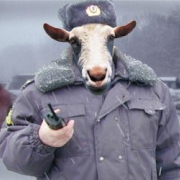 В «Москва-Сити» снова обнаружили подпольное казино В «Москва-Сити» снова обнаружили подпольное казино