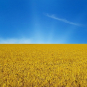 На Украине спортивный покер внесён в реестр признанных видов спорта На Украине спортивный покер внесён в реестр признанных видов спорта
