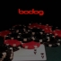 Bodog Poker    20 ,  