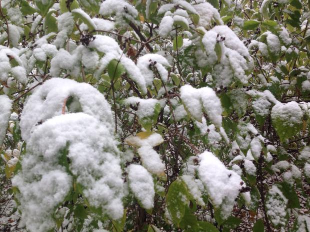 Winter 2015