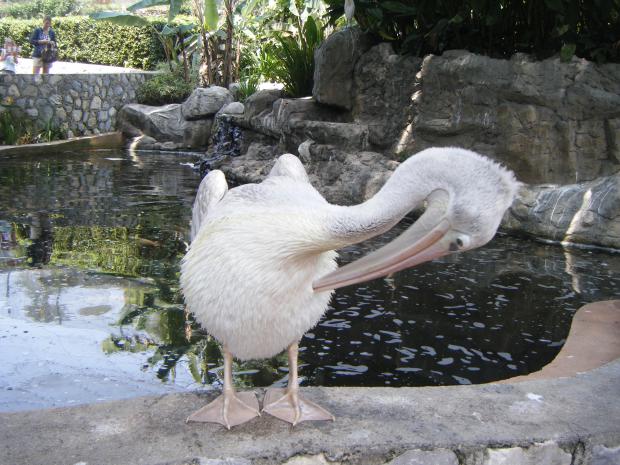 dscf1278.jpg