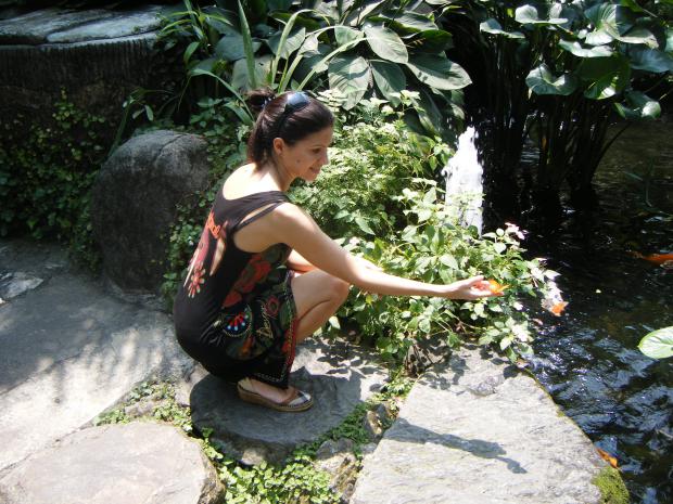dscf1321.jpg
