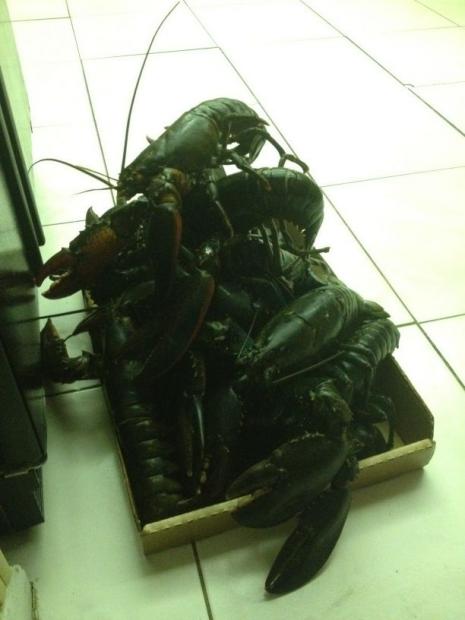 aheuvvbcaaamii-.jpg_large.jpg aheuvvbcaaamii-.jpg_large.jpg