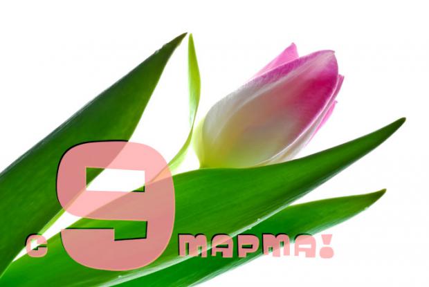 9_.jpg