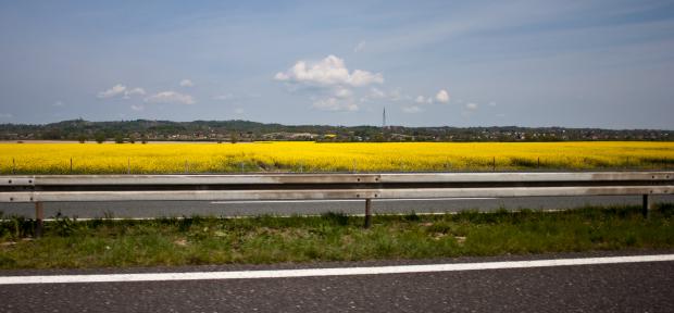 img_6067.jpg