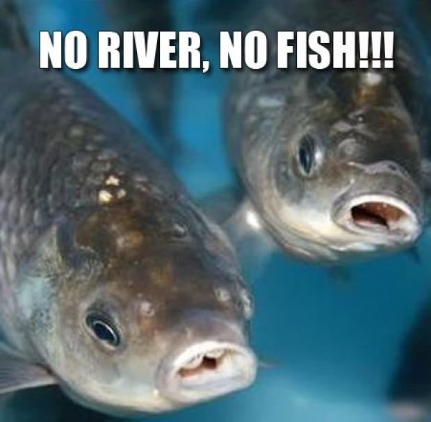 no river no fish